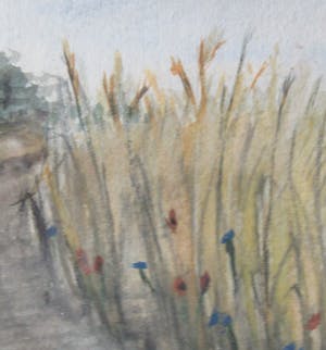 Niet of onleesbaar gesigneerd - Aquarel zandpad langs bosrand - T. Kramer kopen? Bied vanaf 1!