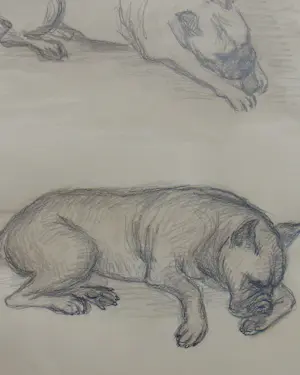 Claartje Mermans-Zoetmulder - Slapende honden kopen? Bied vanaf 55!