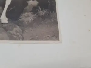 Jan Mankes - 2 heliogravures kopen? Bied vanaf 1!