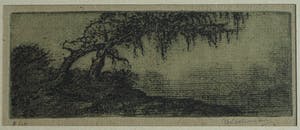 Jan Coenraad Nachenius - Ets , Landschap met boom – ca. 1945 kopen? Bied vanaf 1!