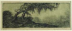 Jan Coenraad Nachenius - Ets , Landschap met boom – ca. 1945 verkocht voor € 1!