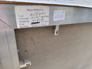 Maya Wildevuur - Spelende dolfijnen kopen? Bied vanaf 300!