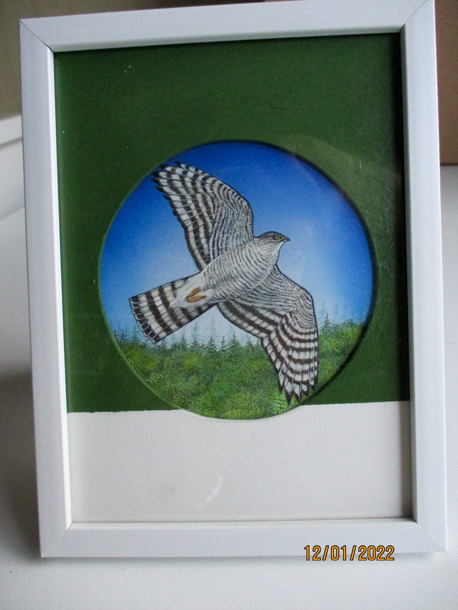 Ari Stolk - Sperwer in vlucht verkocht voor € 39!