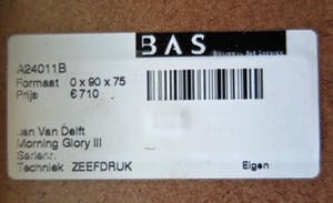 Jan van Delft - Morning Glory - Groot - Nieuwstaat - Houten Barth-lijst - Nieuwwaarde €710,- kopen? Bied vanaf 1!