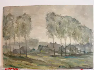 Tijn Spronk - Zomer landschap kopen? Bied vanaf 59!