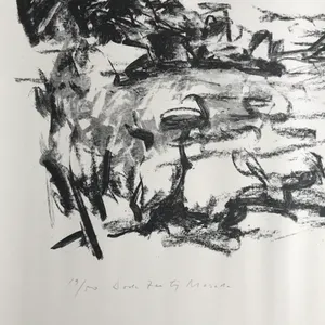 Willy Rieser - Prachtige gesigneerde kleurenlitho/steendruk - 19/50 - "Dode zee bij Masada" kopen? Bied vanaf 1!