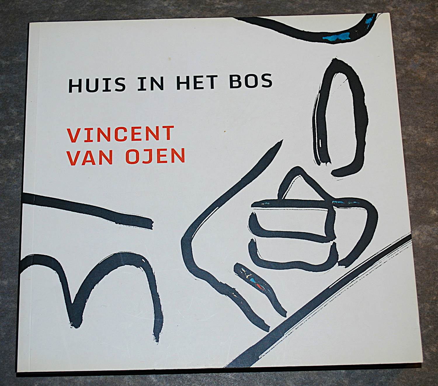 Vincent van Ojen - Huis in het bos kopen? Bied vanaf 40!
