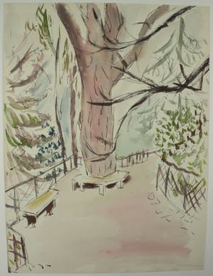 Hans Ittmann - Grote boom in park kopen? Bied vanaf 95!