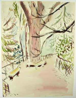 Hans Ittmann - Grote boom in park kopen? Bied vanaf 85!