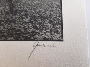 Ralph Janowski - zonder titel kopen? Bied vanaf 25!