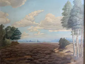 Sam Schellink - Landschap kopen? Bied vanaf 100!