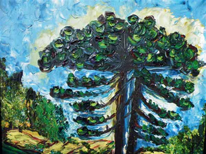 Rita Eliana dos Santos Neves - Brazilianse boom kopen? Bied vanaf 49!