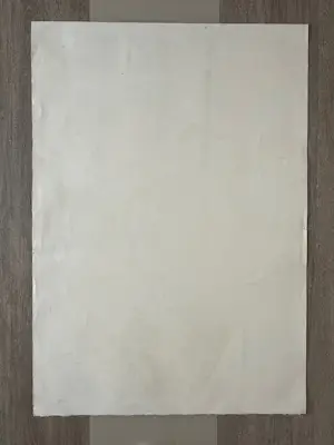 Guy Bardone - Lithographie « Les Quatre Tourterelles au tissu bleu » kopen? Bied vanaf 130!