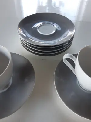 Andries Dirk Copier - Koffie- en theeservies Larissa ontworpen door Copier uitgegeven door Eschenbach kopen? Bied vanaf 100!