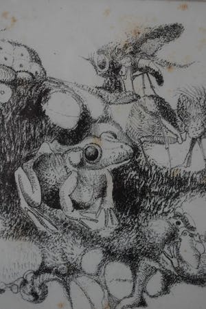 Pim Olivier - litho - Insekten met kikker kopen? Bied vanaf 40!