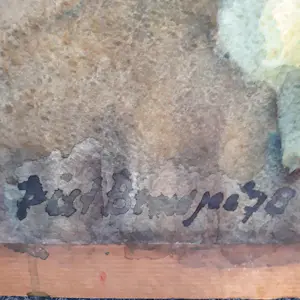 Piet Brandjes - Hortensia bij venster kopen? Bied vanaf 1!