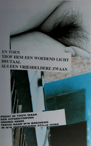Herman Brood - 2 boeken: Souvenirs/Woedend licht kopen? Bied vanaf 99!