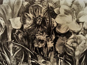 Aart van Dobbenburgh - Meester Graficus - Litho "Voorjaar - bloemenpracht" - potlood gesigneerd kopen? Bied vanaf 10!