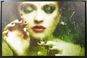 Henri Senders - C-print op dibond, Cherry 3.54 P.M. vendu pour 50€ !