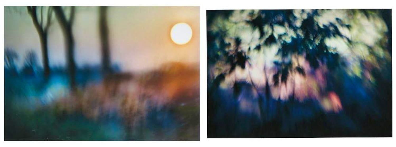 Hans van Ommeren - Set van twee foto's op dibond, Lichtspel in bos verkocht voor € 80!