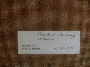 Peter Meuleners - prachtig schilderij - versteend landschap kopen? Bied vanaf 39!