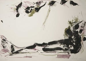Ger Lataster - Litho, Het been kopen? Bied vanaf 1!