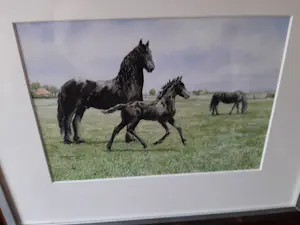 Wiebe A van der Zee - Zeefdruk, Paarden. kopen? Bied vanaf 40!