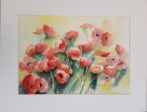 Hannelore Groot - Noordeloos - Papavers kopen? Bied vanaf 10!