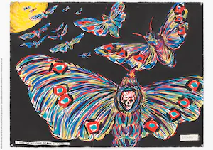 Raymond Pettibon - item uit de serie point d'ironie kopen? Bied vanaf 25!