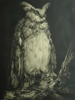 Adriaan van 't Hoff - Lithografische prent , Oehoe – Uitgegeven door De V.AE.V.O. –100x75 cm kopen? Bied vanaf 60!