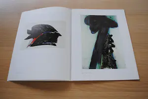 Lei Molin - Bijzondere uitgave met litho kopen? Bied vanaf 35!