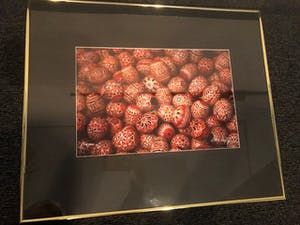 Paul Huf - Geschilderde eieren uit Praag kopen? Bied vanaf 35!