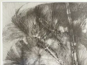 Ab Jongmans - Palm | grote litho - ingelijst kopen? Bied vanaf 39!