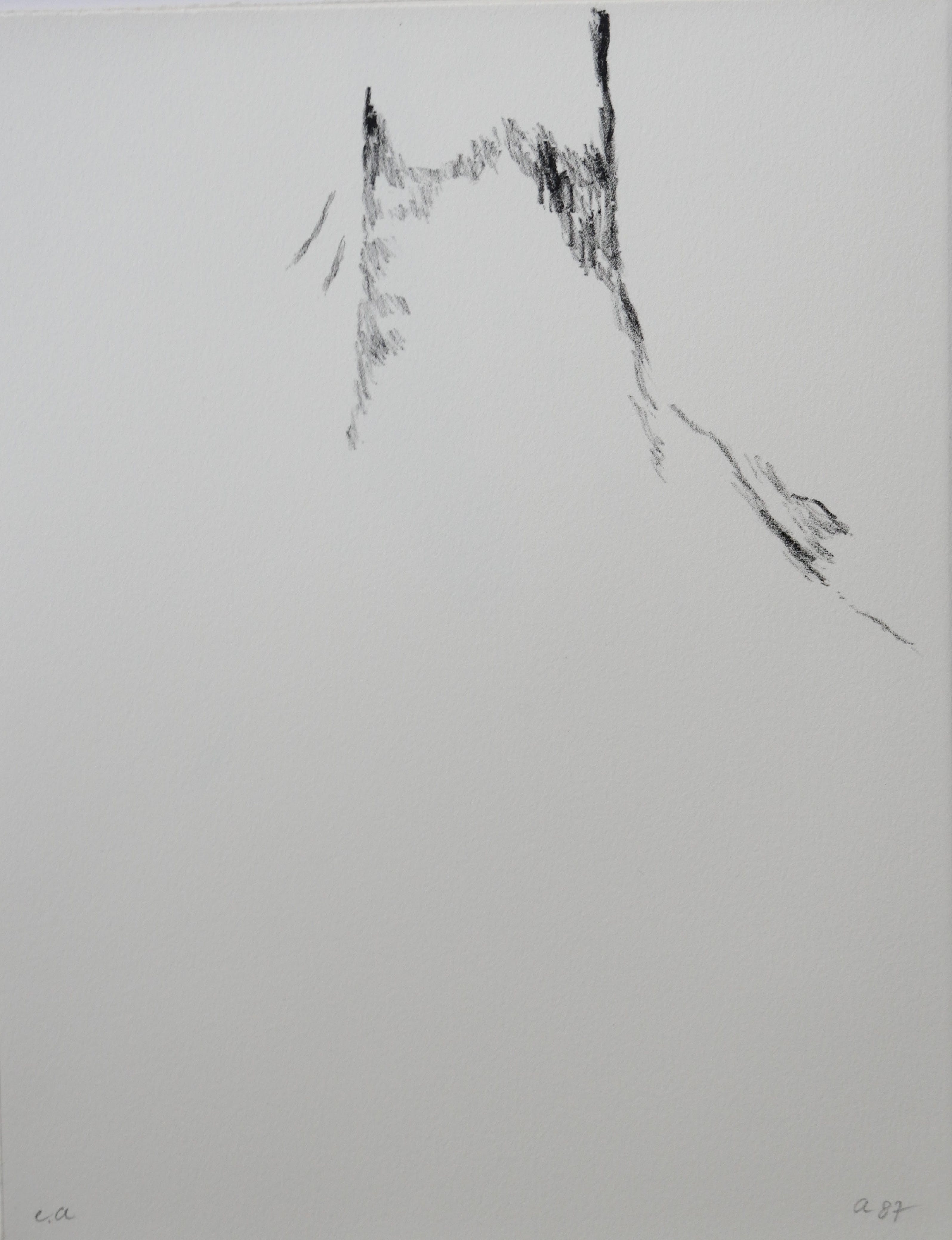 Armando - Der Baum verkocht voor € 100!