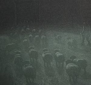 Tjeerd Bottema - Maannacht op de Veluwe - ets/aquatint in zeer goede staat kopen? Bied vanaf 125!