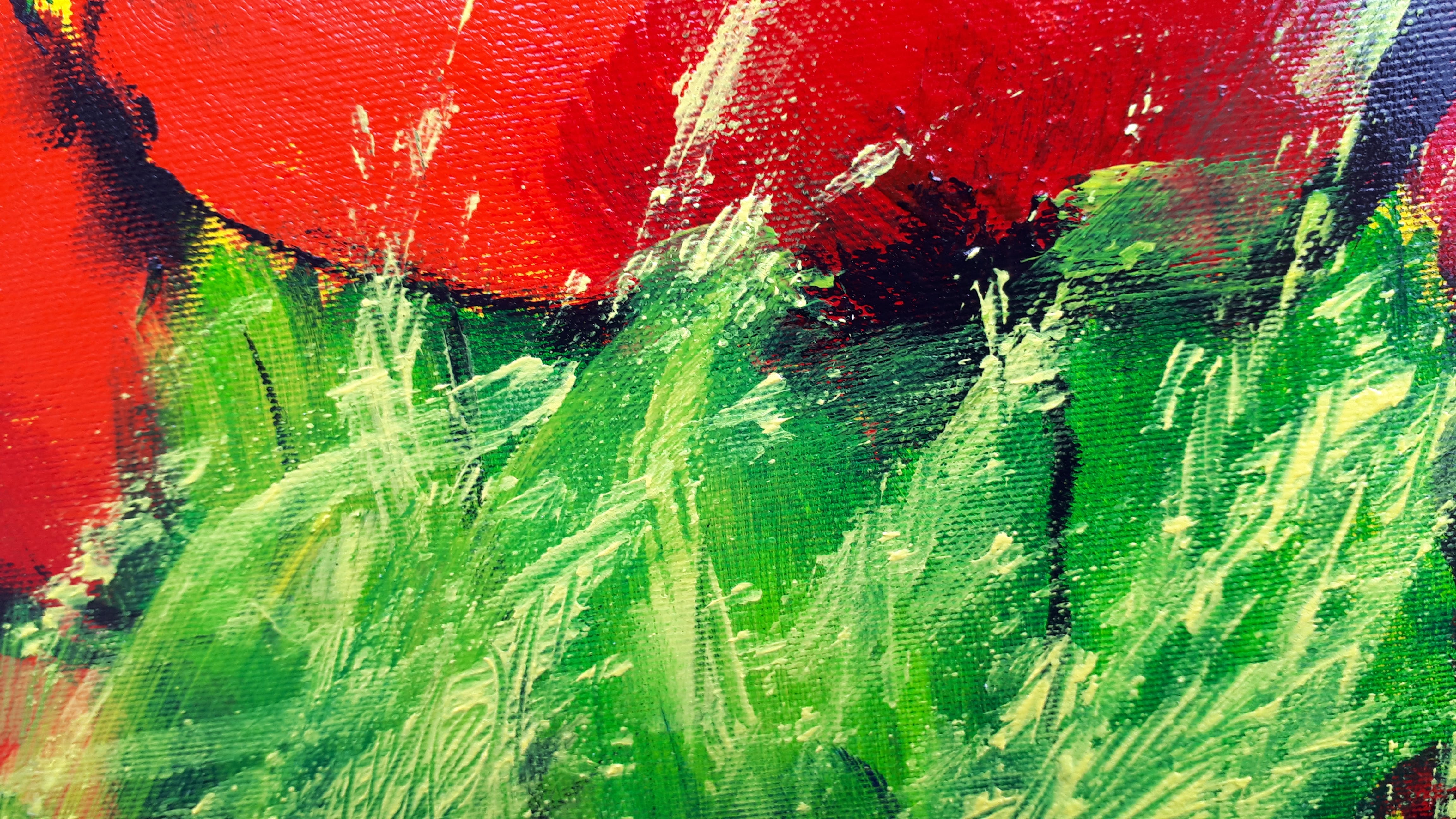 Anke Peddemors - Klaprozenveld kopen? Bied vanaf 40!