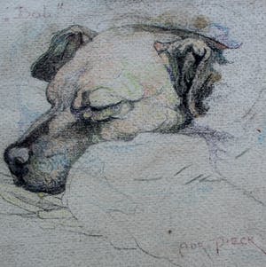 Adri Pieck - aquarel: Bob kopen? Bied vanaf 1!