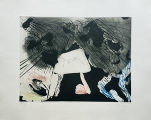 Ger Lataster - grote kleurenets uit 1989 - oplage X kopen? Bied vanaf 95!