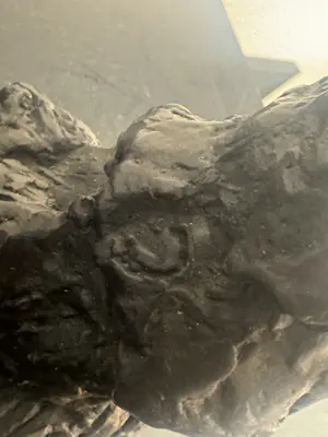 Jan Sierhuis - Flamengo Flamenco Brons kopen? Bied vanaf 275!