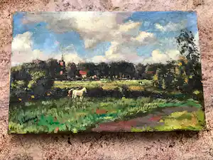 Kees van Waning - Bodemprijs - zeer mooi schilderij op canvas verkauft für € 45!