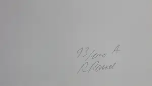 Roger Raveel - boek - gesigneerd - 1981 - oplage: 100 gesigneerde stuks kopen? Bied vanaf 125!