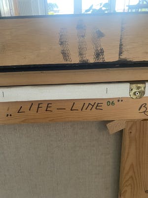 Wim Mast de Gooijer - Life line kopen? Bied vanaf 750!