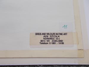 Ari Stolk - Boerderij tussen twee bomen kopen? Bied vanaf 50!