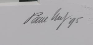 Paul Huf - Foto, Cool Cat - Ingelijst kopen? Bied vanaf 1!