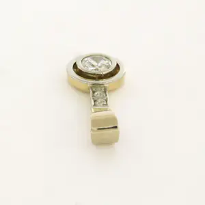 14k bicolour gouden hanger bezet met diamant 0.30 ct kopen? Bied vanaf 250!