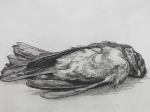 AcheterDick Stolwijk - Dood vogeltje - Ets? Enchérissez de 55!