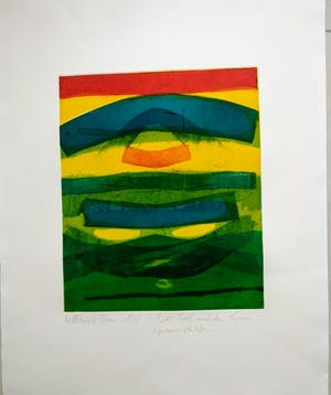Willibrord Haas - Das Gelb und das Grün, 1990 kopen? Bied vanaf 110!