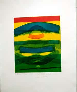 Willibrord Haas - Das Gelb und das Grün, 1990 verkocht voor € 110!