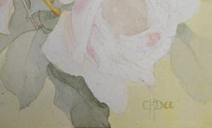 Corneille Henri Dee - aquarel, rozen kopen? Bied vanaf 25!