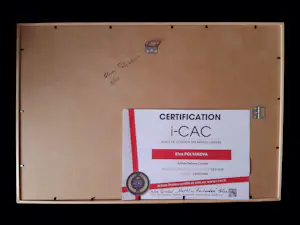 Elva Polyakova - Nacht in Amsterdam - achter glas kopen? Bied vanaf 80!